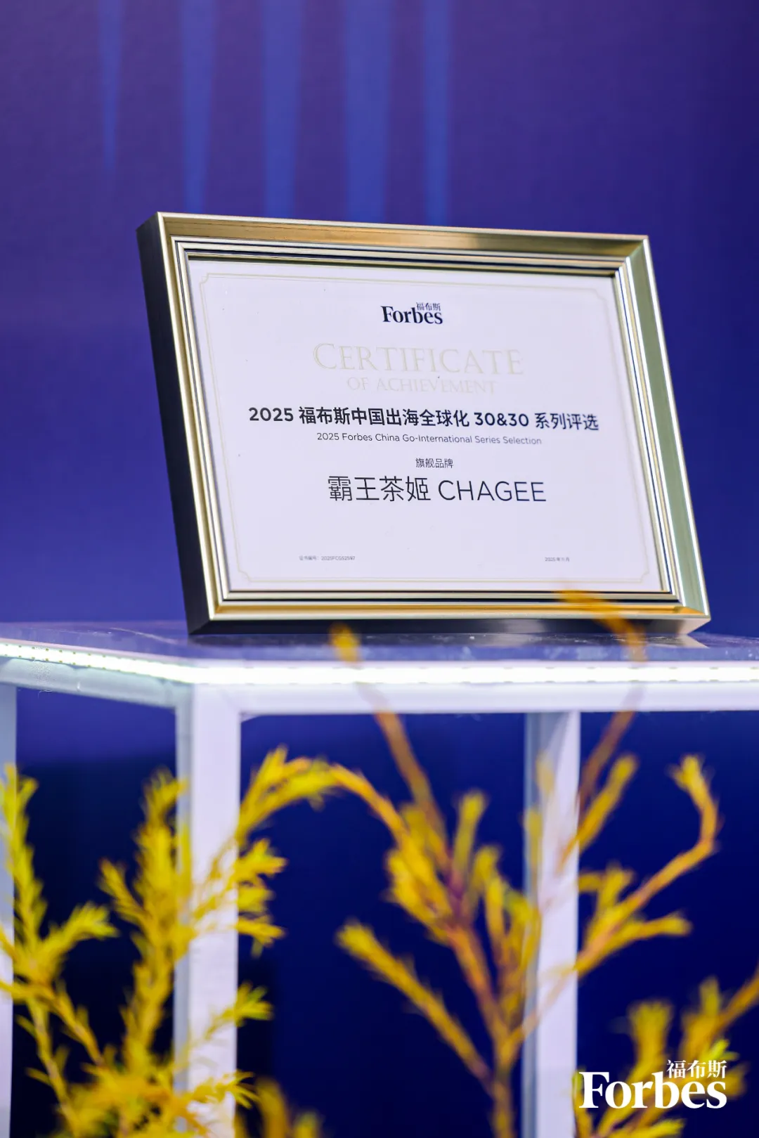 白色台子上放福布斯证书，蓝紫色背景，有“旗舰品牌 霸王茶姬 CHAGEE”字样，系2025出海全球化评选获奖。